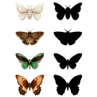 Pastele Butterfly Set of Clipart Collection Printable Editable Digital Download PNG EPS File 300 Dpi Clip Art for Paper Products Invitations Greeting Card Stickers Embroidery Clothing Commercial and Personal Use