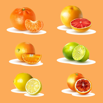 Pastele Citrus Fruits Collection Printable Editable Instant Digital Download 300 Dpi PNG EPS File Megabundle Illustrations Cute Hand Drawn Images Sticker for Fabric Clothing Embroidery Decoration Commercial Personal Use