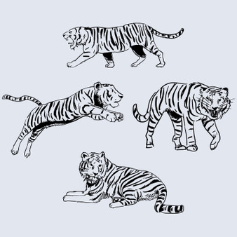 Pastele Hand Drawn Tiger Clipart Digital Download Printable File Editable Artwork Instant Download PNG EPS File 300 Dpi Paper Products Invitations Greeting Card Stickers Birthday Clothing Stationary Scrapbooking