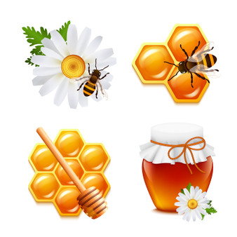 Pastele Honey Food Icon Set of Clipart Collection Printable Editable Digital Download PNG EPS File 300 Dpi Clip Art for Paper Products Invitations Greeting Card Stickers Embroidery Clothing Commercial and Personal Use