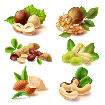 Pastele Nuts Realistic Set Megabundle Clipart Instant Digital Download Printable Editable Vector Clipart Decoration Greeting Card Wall Decor Stickers Label Party Supplies Poster T-Shirt Clothing Embroidery Birthday