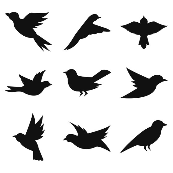 Pastele Birds Silhouettes Clipart Digital Download Printable File Editable Artwork Instant Download PNG EPS File 300 Dpi Paper Products Invitations Greeting Card Stickers Birthday Clothing Stationary Scrapbooking