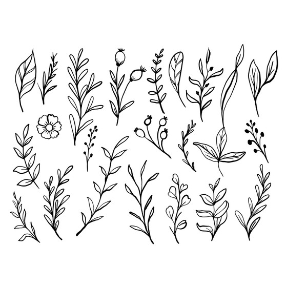 Pastele Leaf Wildflower Line Art Collection Printable Editable Instant Digital Download 300 Dpi PNG EPS File Megabundle Illustrations Cute Hand Drawn Images Sticker for Fabric Clothing Embroidery Decoration Commercial Personal Use