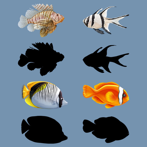 Pastele Set Saltwater Fish Instant Digital Download CLipart PNG EPS File 300 Dpi Printable Editable Artwork Vector  Clip Art Decoration Wall Decor Wallpaper Art T-Shirt Clothing Paper Print Stickers Embroidery Invitation Greeting Card