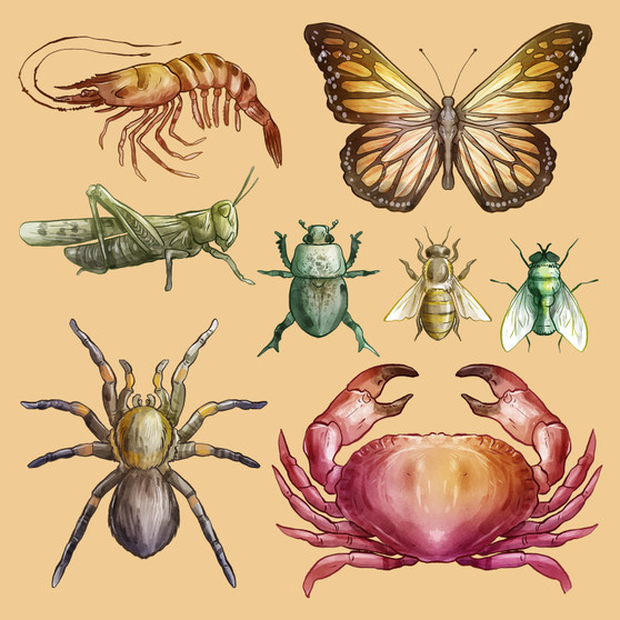 Pastele Watercolor Wild Animal Insect Crustaceans Set of Clipart Collection Printable Editable Digital Download PNG EPS File 300 Dpi Clip Art for Paper Products Invitations Greeting Card Stickers Embroidery Clothing Commercial and Personal Use