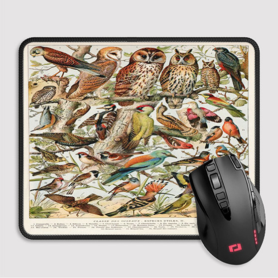 Pastele Adolphe Millot Oiseaux Esp ces Utiles Custom Mouse Pad Awesome Personalized Printed Computer Mouse Pad Desk Mat PC Computer Laptop Game keyboard Pad Premium Non Slip Rectangle Gaming Mouse Pad