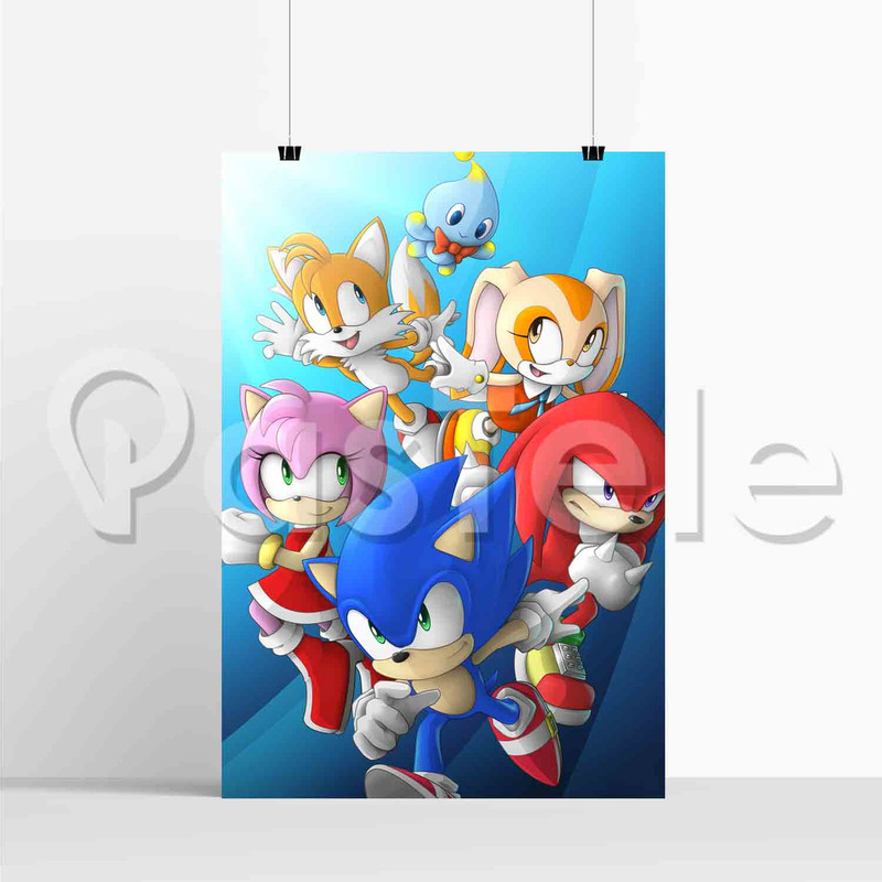 Sonic X and Sonamy Kiss Silk Poster Print Wall Decor 20 x 13 Inch 24 x