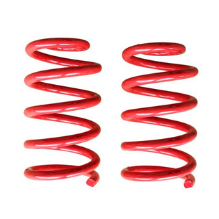 Front Lowering Springs 2.0" #TT-G204F20