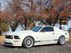 Performance Shocks and Lowering Springs 1.6"F/2.0"R #TT-F308+TT-F208