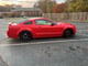 Performance Shocks  #TT-F308