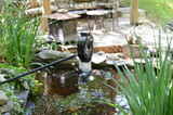 KSF-2XL over large pond on pole