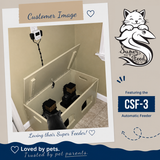 CSF-3 double customer set up