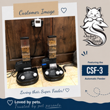 CSF-3 double customer set up