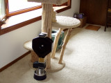 CSF-3XL deal 21 mounted to play tree