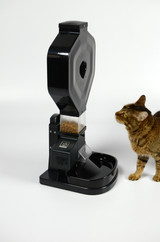 Kitty and CSF-3XL