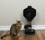 CSF-3XL cat super feeder with stand/bowl, analog timer, 1.5 gallon hopper (24 cups capacity) and all hardware. 