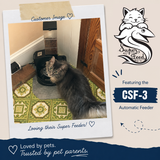 CSF-3 customer image (with extra extension installed)