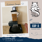 CSF-3 customer set up with analog timer