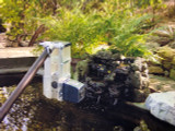 KSF-2 on TX pond