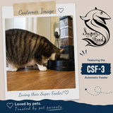 Cat eating from custom bowl - customer image