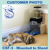 Automatic pet feeder for rabbit