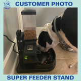 Customer set up using Super Feed custom stand and bowl