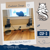 Dual CSF-3s customer mounted