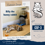 CSF-3 customer mounted for Billy the rabbit