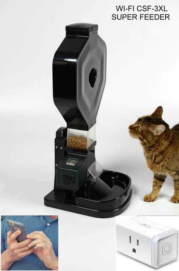 FNTC CAT、FLUX DC FNTC CAT、FLUX DC FNTC CAT、FLUX DC FNTC CAT、FLUX DC FLUX