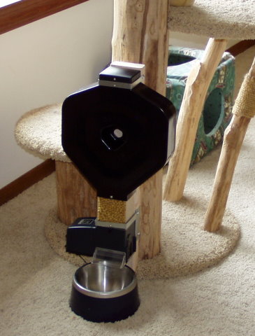 feeder-mounted-to-cat-tree-480.jpg