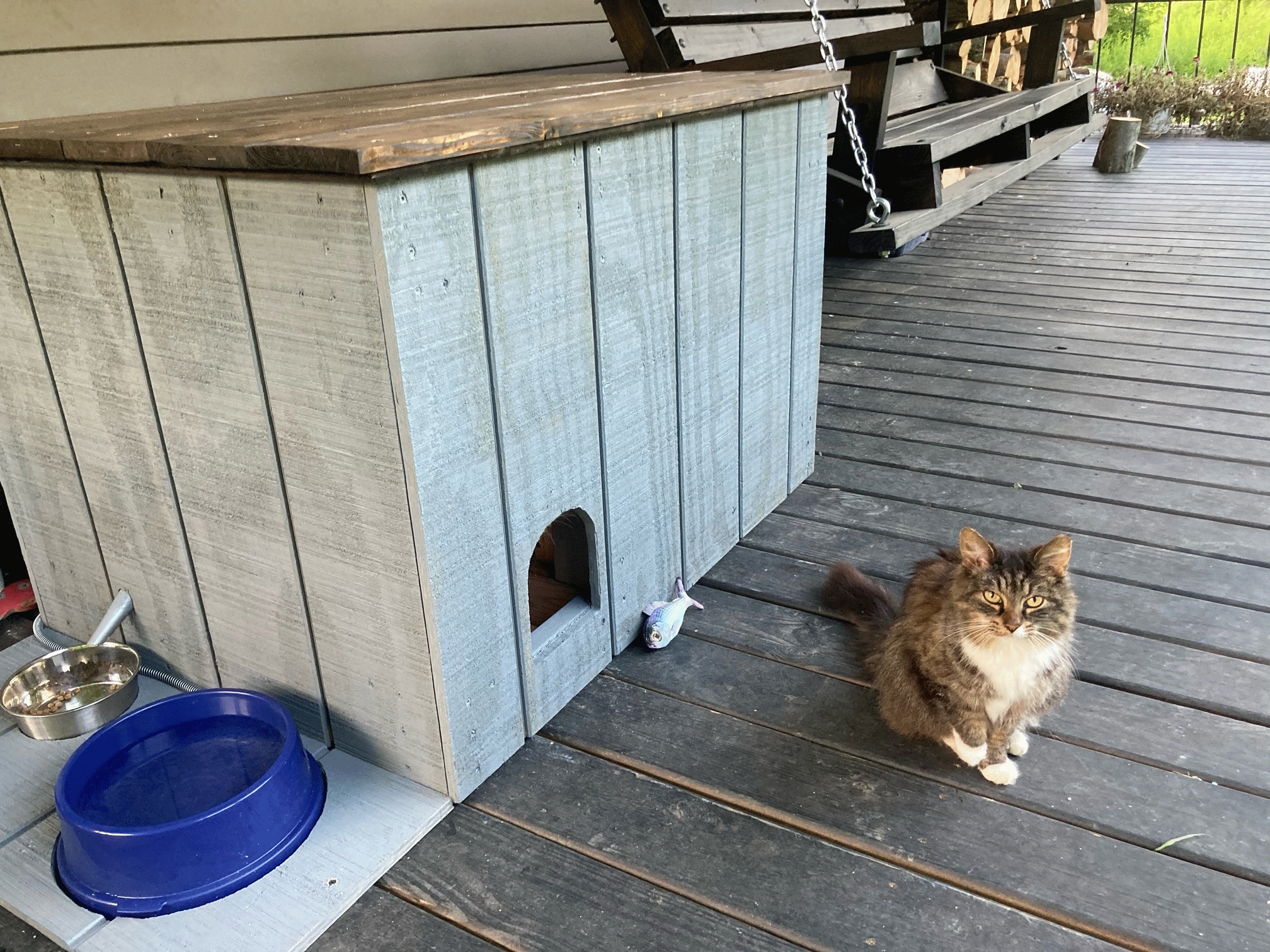 Outdoor Dog Food Dispenser