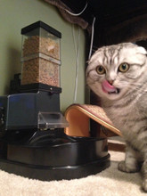 Automatic Cat Feeder Super Feeder Combo 17a