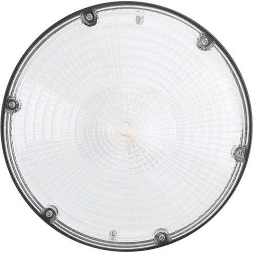 Round Canopy LED Light - LENS