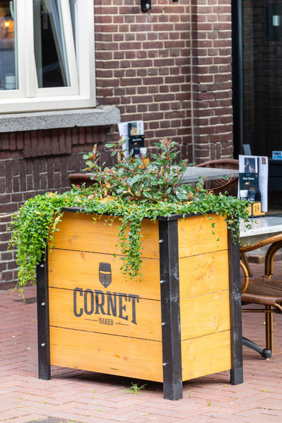 CORNET FLOWER PLANTER '22