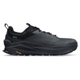 Olympus 6 Hike Low GTX