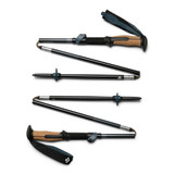 Trail Vista FLZ Trekking Poles