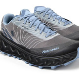 Tomir 2.0 GTX Shoe