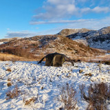 Vern 2 Tent 4S (inc Footprint)
