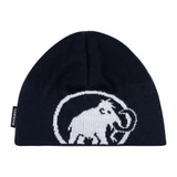 Tweak Beanie