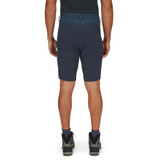 Torque Mountain Shorts
