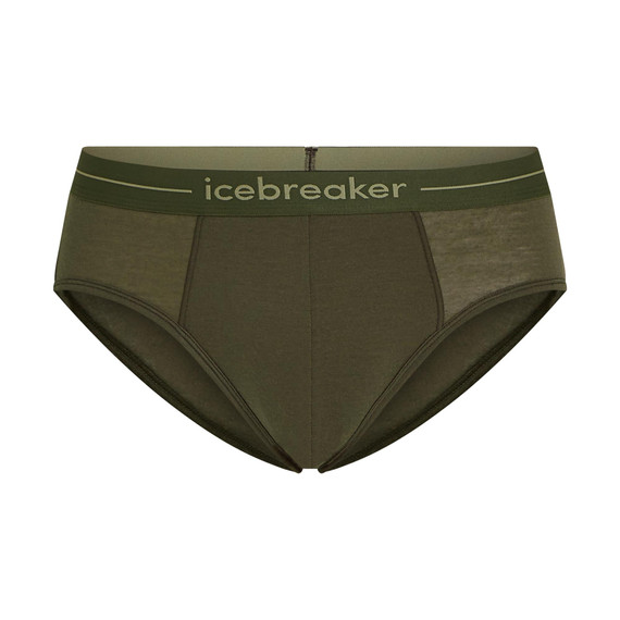 Anatomica Merino Briefs