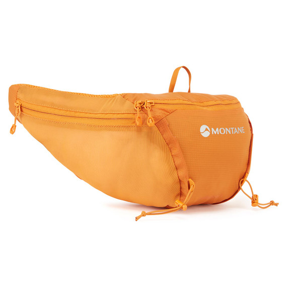 Trailblazer 3 Waist Pack