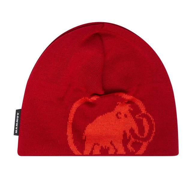 Tweak Beanie
