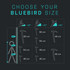 Blue Ice Bluebird Ice Axe 