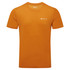 Dart T-Shirt - Past Season Colours