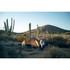 Moondance 2 Tent