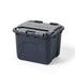 Alpaca Camp Box 50