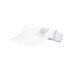 Speed Visor