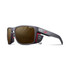 Shield Reactiv 2-4 Polarized Sunglasses