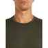 Merino 200 Oasis LS Crew
